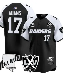 Las Vegas Raiders Nike 2024 65th Anniversary Limited Stitched Jersey - Black - Image 9