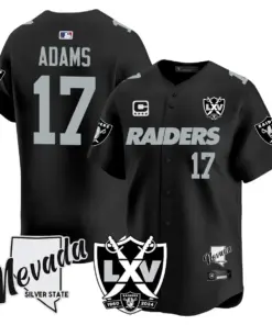 Las Vegas Raiders Nike 2024 65th Anniversary Limited Stitched Jersey - Black - Image 3