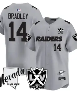 Las Vegas Raiders Nike 2024 65th Anniversary Limited Stitched Jersey - Black - Image 14