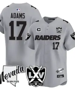 Las Vegas Raiders Nike 2024 65th Anniversary Limited Stitched Jersey - Black - Image 13
