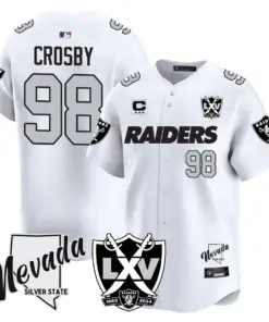 Las Vegas Raiders Nike 2024 65th Anniversary Limited Stitched Jersey - Black - Image 22