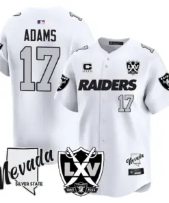 Las Vegas Raiders Nike 2024 65th Anniversary Limited Stitched Jersey - Black - Image 20