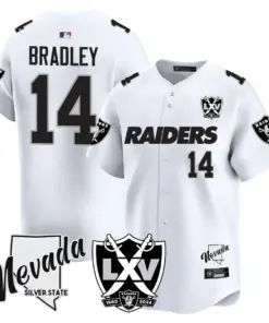 Las Vegas Raiders Nike 2024 65th Anniversary Limited Stitched Jersey - Black - Image 27