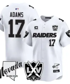 Las Vegas Raiders Nike 2024 65th Anniversary Limited Stitched Jersey - Black - Image 25