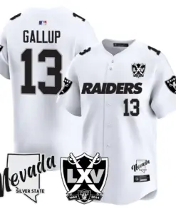 Las Vegas Raiders Nike 2024 65th Anniversary Limited Stitched Jersey - Black - Image 29