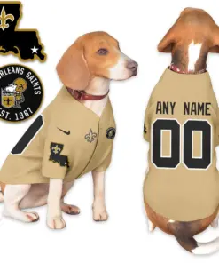 New Orleans Saints Nike Pet Coat Gift For Pet Lover - Black - Image 5