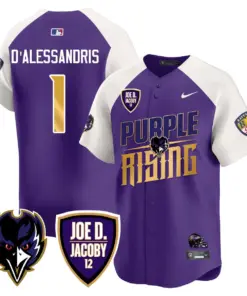 Baltimore Ravens Nike 2024 Rising Vapor Limited Stitched Jersey - Black - Image 21