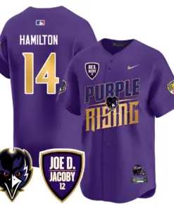 Baltimore Ravens Nike 2024 Rising Vapor Limited Stitched Jersey - Black - Image 30