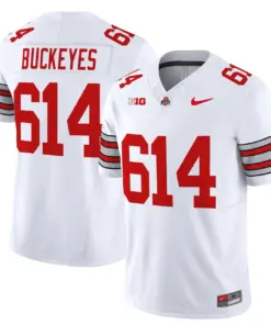 Nike 2025 Ohio State Buckeyes 'Heritage Stripe' Vapor Limited Stitched Jersey - White - Image 3