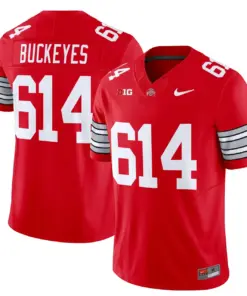 Nike 2025 Ohio State Buckeyes 'Heritage Stripe' Vapor Limited Stitched Jersey - White - Image 13