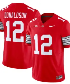 Nike 2025 Ohio State Buckeyes 'Heritage Stripe' Vapor Limited Stitched Jersey - White - Image 15