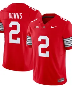 Nike 2025 Ohio State Buckeyes 'Heritage Stripe' Vapor Limited Stitched Jersey - White - Image 17