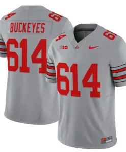 Nike 2025 Ohio State Buckeyes 'Heritage Stripe' Vapor Limited Stitched Jersey - White - Image 23