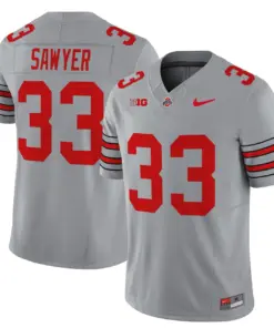 Nike 2025 Ohio State Buckeyes 'Heritage Stripe' Vapor Limited Stitched Jersey - White - Image 29