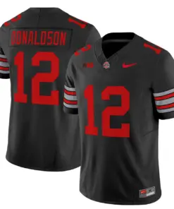Nike 2025 Ohio State Buckeyes 'Heritage Stripe' Vapor Limited Stitched Jersey - White - Image 35