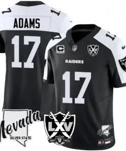 Las Vegas Raiders Nike 2024 65th Anniversary Vapor Limited Stitched Jersey - Silver - Image 12