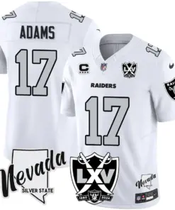 Las Vegas Raiders Nike 2024 65th Anniversary Vapor Limited Stitched Jersey - Silver - Image 20