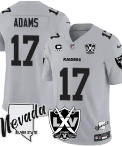 Las Vegas Raiders Nike 2024 65th Anniversary Vapor Limited Stitched Jersey - Silver