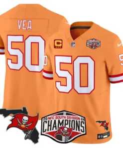 Baker Mayfield Tampa Bay Buccaneers Nike 2024 NFC South Division Champions Patch Vapor Limited Stitched Jersey - Anthracite - Image 40