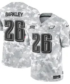 Philadelphia Eagles Nike 2024 Salute to Service Vapor Limited Stitched Jersey - Arctic Camo All Stitched - Grey